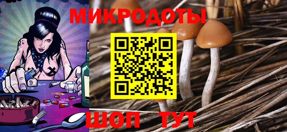 Верхняя Салда  Псилоцибиновые грибы Psilocybine cubensis  сколько стоит  Вход с VPN 
